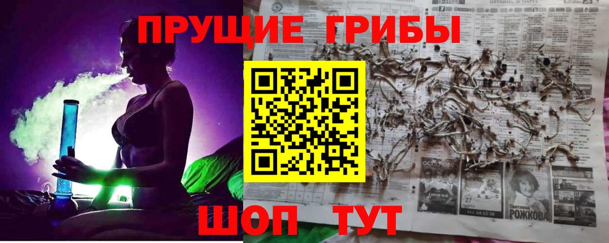Галлюциногенные грибы мицелий Вятские Поляны