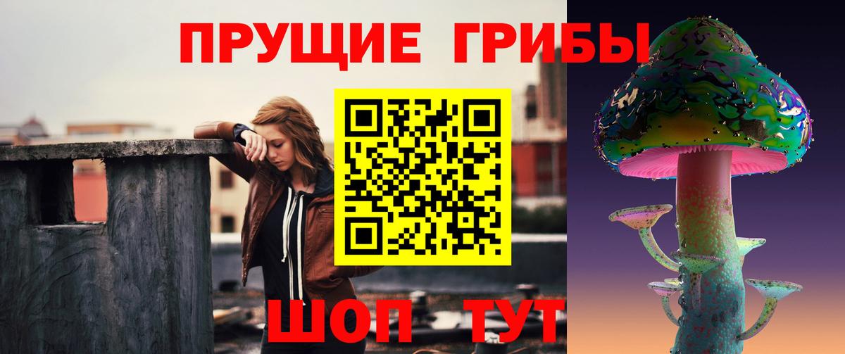 Вятские Поляны  Галлюциногенные грибы прущие грибы  Галлюциногенные грибы мицелий  Вход с VPN 